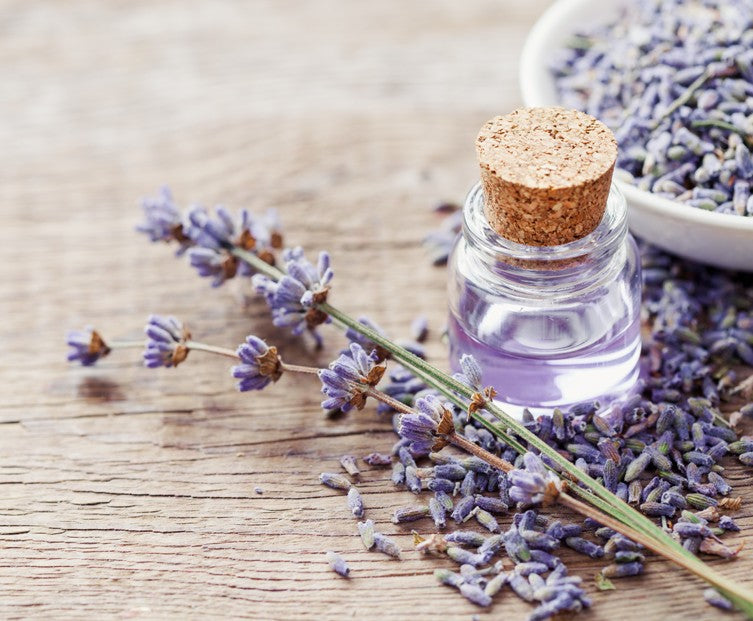 The Benefits of Lavender Oil
